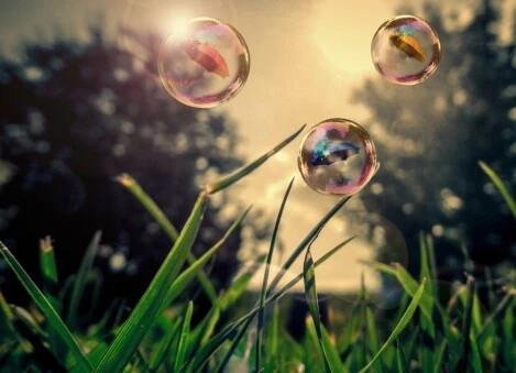 Il rispetto per la natura innanzi tutto Il rispetto per la natura innanzi tutto Clean Nature Group